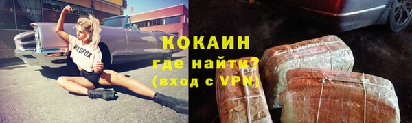 дурь Нея